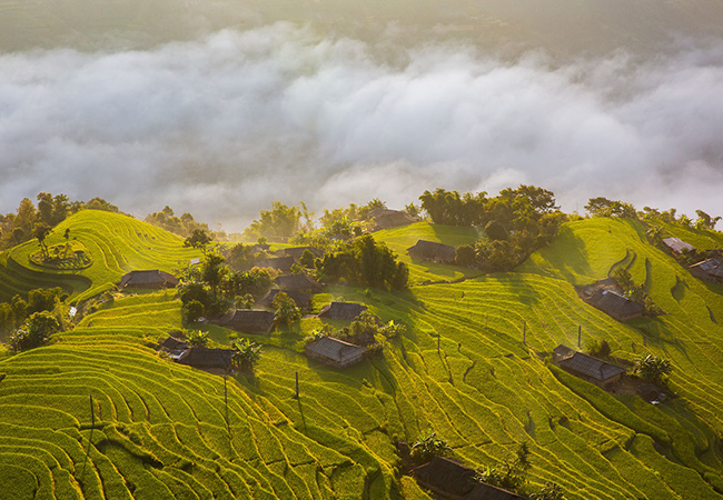 bac thang hoang su phi