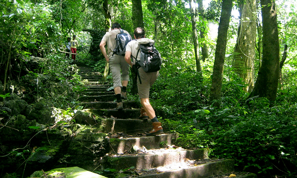 Trekking in Cuc Phuong National Park