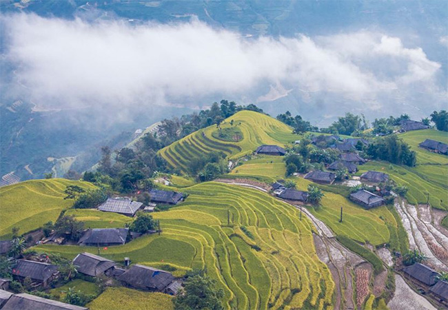 hoang su phi