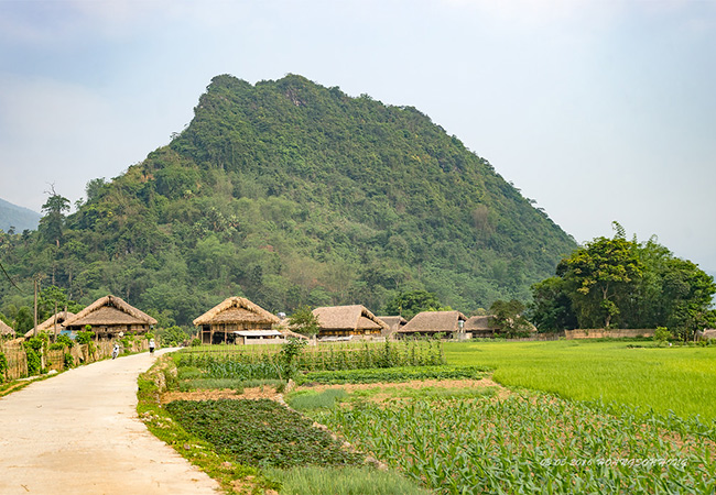 thon tha