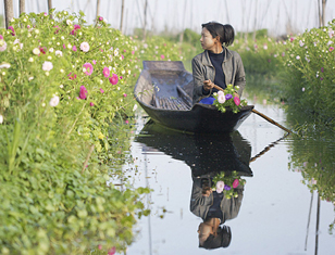 Highlights of Myanmar