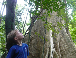 Trekking Nam Cat Tien Park in South Vietnam