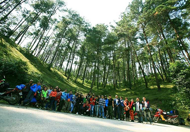 yen minh pine forest